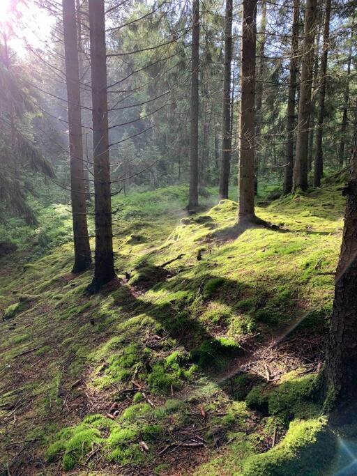 Panoramavy Naera Gbg Och Natur Olofstorp Esterno foto
